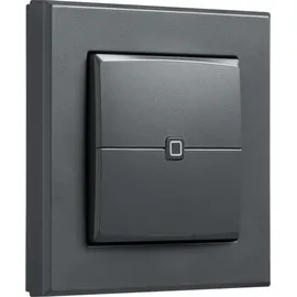 eQ-3 Homematic IP Smart Home Wandtaster HmIP-WRC2-A, 2-fach, anthrazit