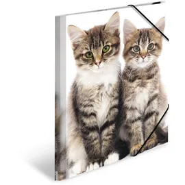 Herma Sammelmappen DIN A4 Katzen, 3 St.
