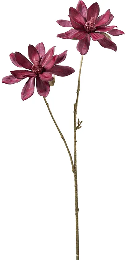 Magnolien Zweig x2 61cm burgund