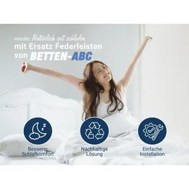 Betten-ABC Ersatz Federholzleisten 5er Set 2,4 cm x 140 cm