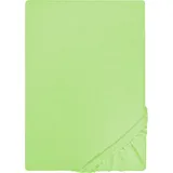 biberna Spannbettlaken Jersey 180 x 200 - 200 x 200 cm grün