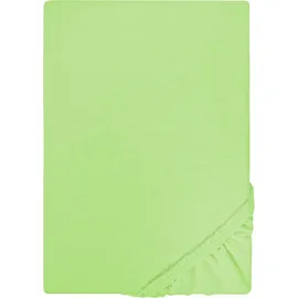 biberna Spannbettlaken Jersey 180 x 200 - 200 x 200 cm grün