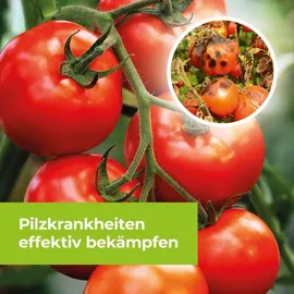 Protect Garden Curamat AZ Universal-Pilzfrei 1 Liter