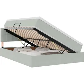 vidaXL Aufbewahrungsbett mit Matratze Hellgrau 140 x 200 cm Samt vidaXL