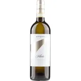 Vite Colte Roero Arneis Villata DOCG 2024