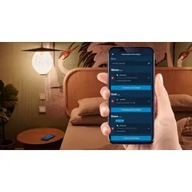 Bosch Smart Home Dimmer Schalter, Aktor zur smarten Steuerung von dimmbarer Beleuchtung, kompatibel mit Amazon Alexa, Google Assistant und Apple HomeKit