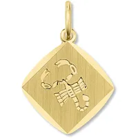 Sternzeichenanhänger ONE ELEMENT "Sternzeichen Anhänger aus 333 Gelbgold", gold, Schmuckanhänger, Damen, SkorpionimSetmitHalskette, Steinbock, Gelbgold 333 Gold, Gelbgold 333, Gold, das perfekte Geburtstagsgeschenk für Frau und Mann