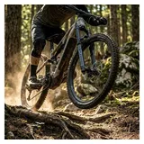 RockShox ZEB Select Charger RC 29",alu,EMTB,170mm,15x110,44off-set,sw