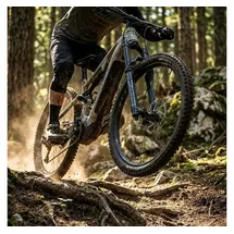 RockShox ZEB Select Charger RC 29",alu,EMTB,170mm,15x110,44off-set,sw
