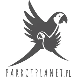 VESPER V-Box large 50 x 40 x 78 cm walnuss