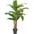 Europalms Bananenbaum, Kunstpflanze, 120cm