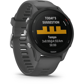 Garmin Forerunner 255 46 mm schiefergrau/schwarz