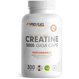 ProFuel Creatine Kapseln 240 St.