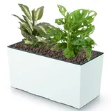 Blumenkübel Blumentopf Rattan Trapez Weiß Glatt Struktur H 19,5 cm 12 L