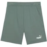 Puma ESS 2 Color No. 1 Logo Shorts TR B Gestrickte Shorts Grün 152