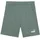 Puma ESS 2 Color No. 1 Logo Shorts TR B Gestrickte Shorts Grün 152
