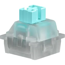 Glorious PC Gaming Race Lynx HE Silent Switches Schlüsselschalter 40g