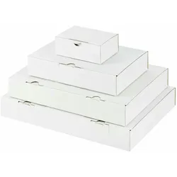 VEPATIM 50x Versandkarton 343x250x49mm schnelle Aufrichtung mit Steckverschluss Maxibrief und Warensendung weiß