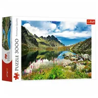 Trefl Ein See im Tatras Gebirge in der Slowakei (33031)