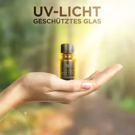 Teufelsküche Nag Champa Mix Räucherstäbchen - Set 6x 15 g