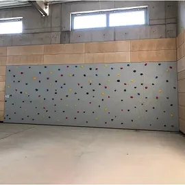 Kletterwand Indoor Basic 2,98 m