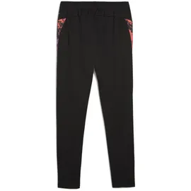 Puma individualCUP Trainingshose - schwarz M