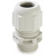 Wiska (10066411)