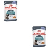 Royal Canin FCN Hairball Care in Gelee Katzenfutter nass