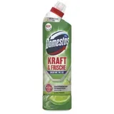 Domestos Kraft & Frische Lime Fresh 750 ml