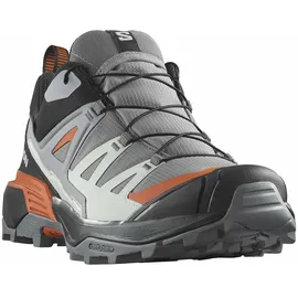 Salomon X Ultra 360 GTX Herren Quiet Shade / Black / Spice Route 44 2/3