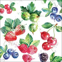 Ambiente 20 Servietten Papier 33x33cm 3-lagig - hochwertige Einweg Papierservietten für Sommer Picknick Gartenparty Obstfest Brunch Geburtstagsfeier