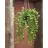 Mica decorations Mica Kunstpflanze Ficus grün, 81 cm