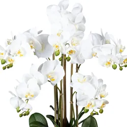 CREATIV green künstliche Pflanze Phalaenopsis x5, ca 75cm weiss, in Kunststoffvase schwarz 30x17x12cm, Real Touch