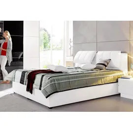 MAINTAL Polsterbett, mit verstellbaren Kopfteilen weiß 192 cm x 223 cm