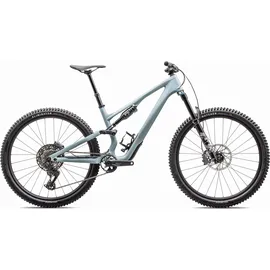 Specialized Stumpjumper 2025 29 Zoll RH 3 cm Unisex Gloss Seafoam / Silver Dust