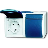 Busch-Jaeger Schuko-Steckdose 2f.gr/bgn waagerecht 20/2 EW-53