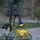 star trading deutschland gmbh Solar Garten Spotlight Kunststoff H 34 cm 1er Set schwarz
