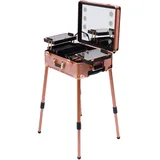 PUDLOR Kosmetikkoffer, 3 in 1 Profi Kosmetikkoffer, Kosmetik Make Up Organizer Koffer,Make-up Koffer Beauty mit Spiegel und 4 Rollen Geeignet für professionelle Visagisten, Friseure (Rose Gold)
