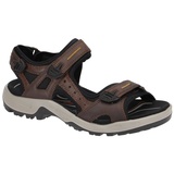 ECCO Offroad Herren espresso/cocoa 47