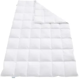 REGINA HOME SLEEP LIVING EST. 1967 Daunenbettdecke, Weiß, Textil, 135x200 cm, Oeko-Tex® Standard 100, Schlaftextilien, Bettdecken, Daunendecken