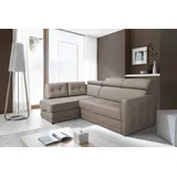 exxpo - sofa fashion Ecksofa »Arles, Federkern, OTTOs Choice, zeitlos, Breite 225cm, L-Form«, wahlweise mit Bettfunktion und Bettkasten, inkl. Kopfteilverstellung braun