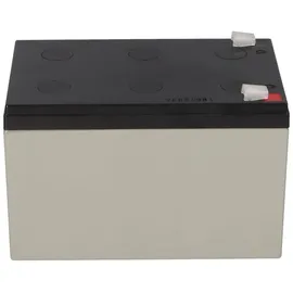 YUASA RE12-12FR 12V 12Ah 6-9 Jahresbatterie, Faston 6,3