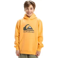 QUIKSILVER Big Logo Kapuzenpullover - Chamois - 14 Jahre