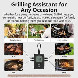 Sonoff Bratenthermometer 1 Stück Edelstahl schwarz