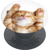 PopSockets PopGrip Basic Snoozy Cat, Smartphone Halterung