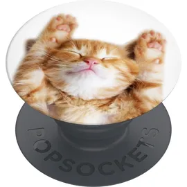 PopSockets PopGrip Basic Snoozy Cat, Smartphone Halterung