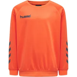 Poly Sweatshirt Raglanärmel Hmlpromo Multisport Kinder HUMMEL Gr. 104 - 4 Jahre