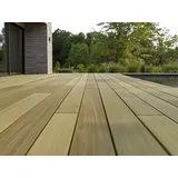 Robinie Terrassendielen, 23x118 mm, KD, glatt bombiert, seitlich genutet, keilgezinkt