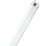 Osram Lumilux T8 L 36W/830 G13