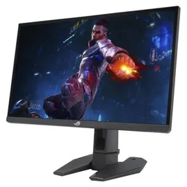 Asus ROG Swift PG248QP 24,1" schwarz